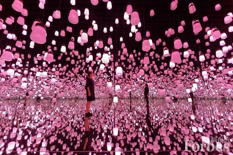 春日祭｜浪漫樱花祭，解锁这一波春日“樱花限定”
