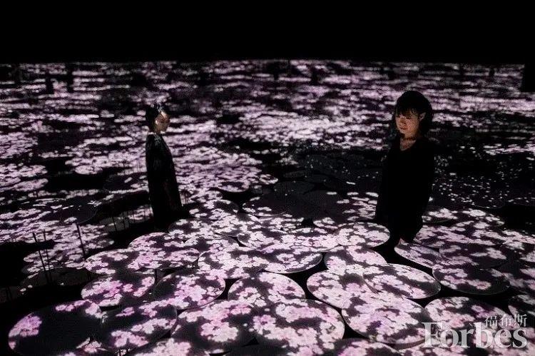 春日祭｜浪漫樱花祭，解锁这一波春日“樱花限定”